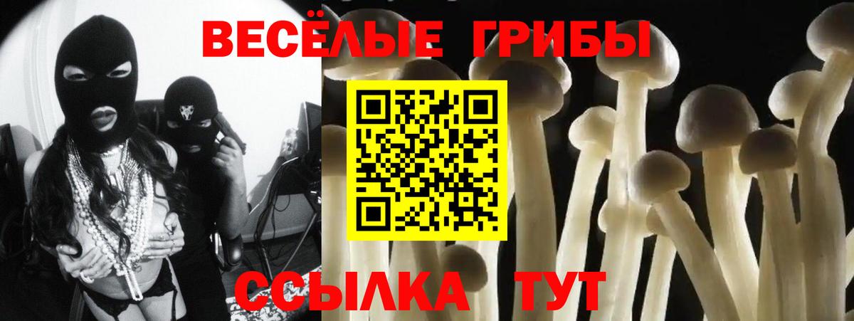 Владимир  Галлюциногенные грибы ЛСД  наркотики  Вход с VPN 